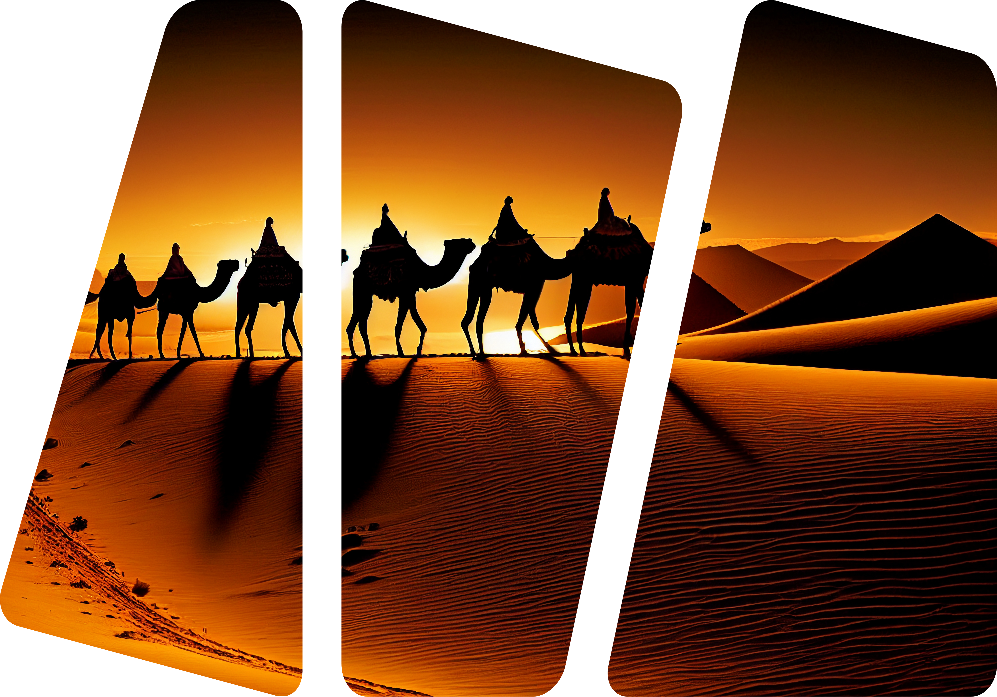 Desert sunset with camels